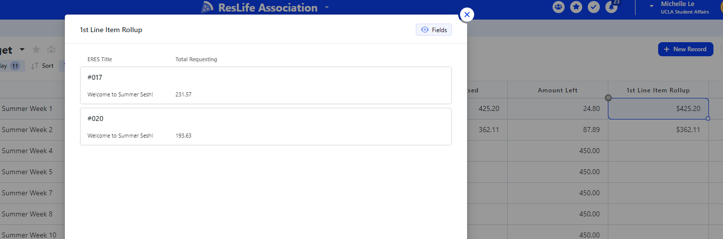 Screenshot of Line Item Rollup