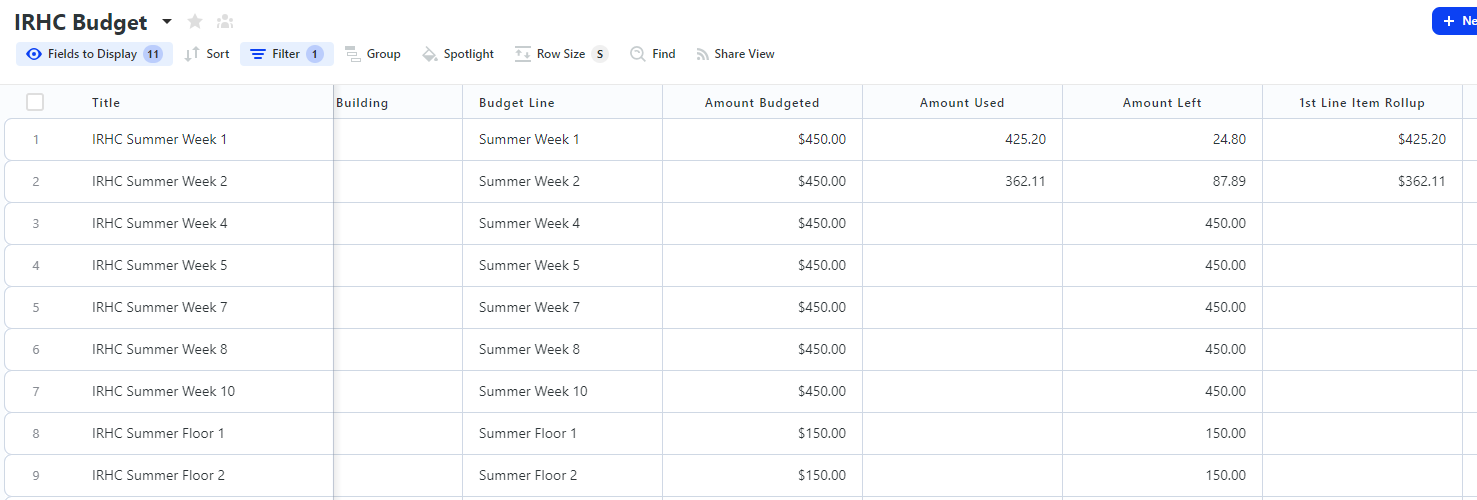 Screenshot of IRHC Budget spreadsheet