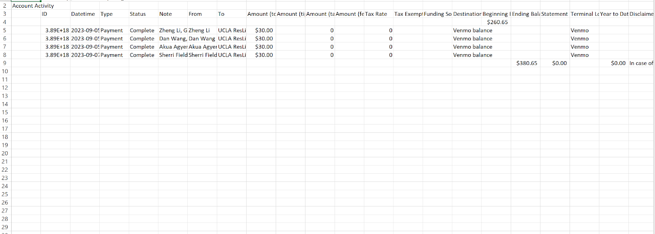 Screenshot of statement csv